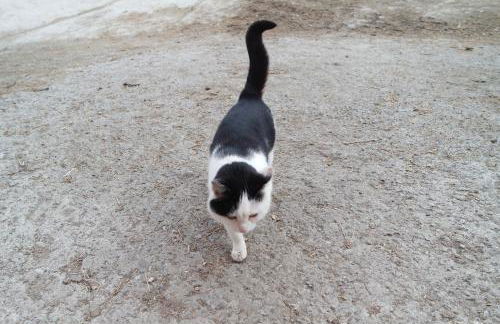 Unterbergerhof - Photo 79