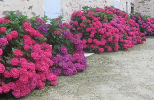 Holiday Home Saint-Laurent Pool Retreat - Foto 30