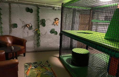 Ferienwohnung Jolie - Foto 14