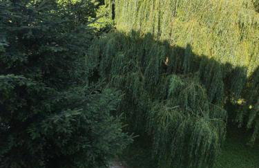 APARTAMENT MAGNOLIA - Foto 21