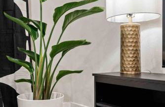 Quiet neighborhood steps away from Downtown stores - Foto 24