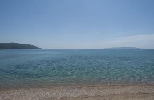 Alexis Studios - Foto 18