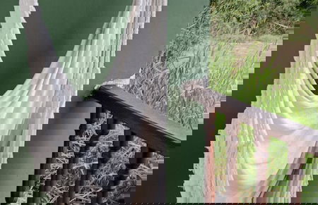 cabañas hotel villa lucia - Photo 20