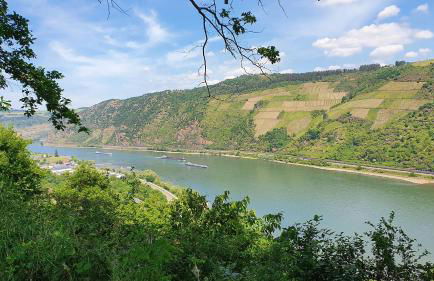 Roosartige Ferien - Ferienwohnung im Hanswieschen - Oberwesel Bacharach - Foto 30