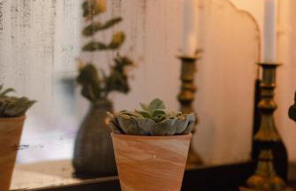 Villa Appetite - Photo 28