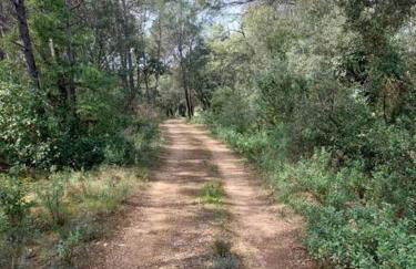 Superbe bergerie en cœur de foret avec piscine privée lac rivière cascades - Foto 26