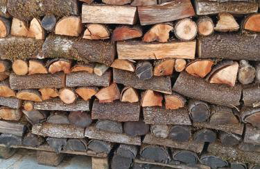 ΑΡΧΟΝΤΙΚΟ ΜΑΝΤΕΙΟ - Photo 30