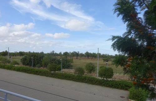 Gloria Maris Cabanas Gardens - Foto 10