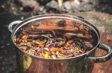 Chatka w lesie - Foto 11