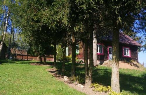 Domek na wsi Wiejsko Czarodziejsko - Agroturystyka Podlasie - Foto 78