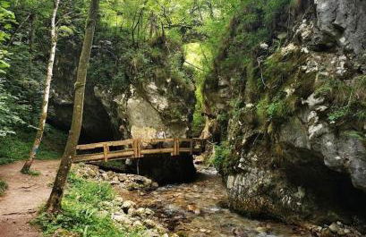 Casa zia Lidia - Foto 38