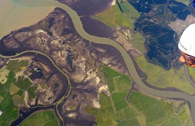 Saut en parachute à Auckland - Photo 1