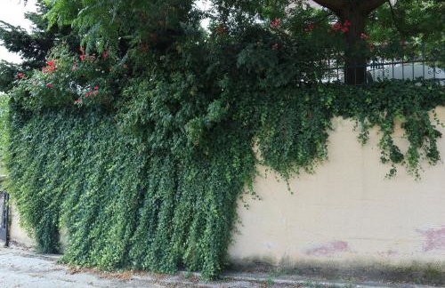 Angela House - Photo 5