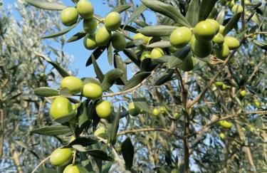 Villa Rapunzel - Foto 15