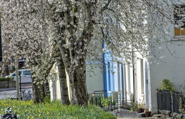 A very British house to stay 3 Bedroom - Foto 43