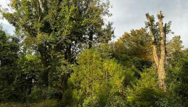 Charming House In Lyons-La-Forêt - Foto 3