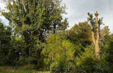 Charming House In Lyons-La-Forêt - Foto 3