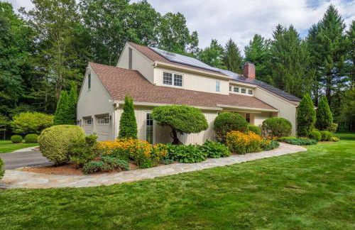 Green Utopia - Foto 3