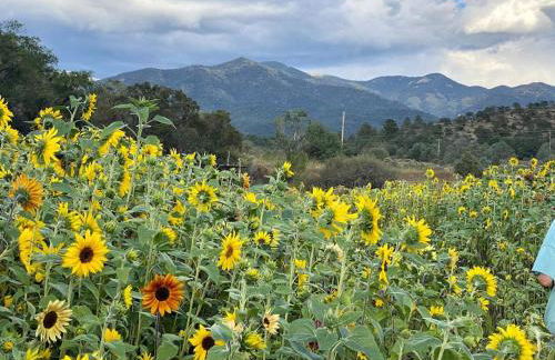 Rustic Log Cabin on Eco-Friendly Farm near Taos, New Mexico - Foto 30