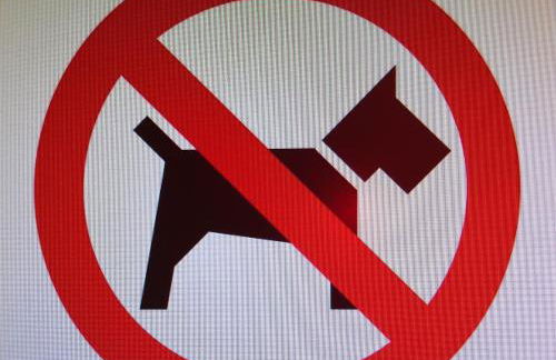 Appartementhaus Martel - Adults Only - Foto 30