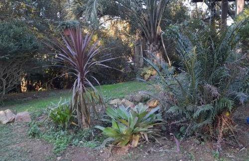 Casinha da Serra com açude - Foto 6