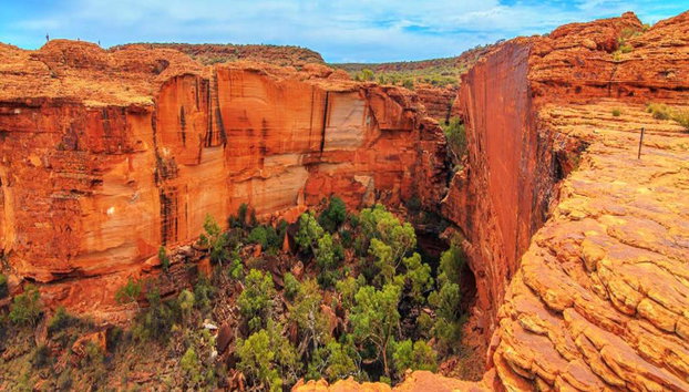 Safari 4x4 por el Outback de Palm Valley - Tour de día completo - Foto 4