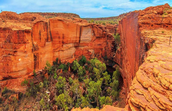 Safari 4x4 por el Outback de Palm Valley - Tour de día completo - Foto 4