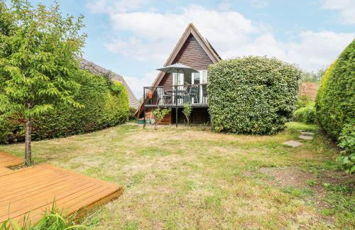 Kingfisher - Photo 1