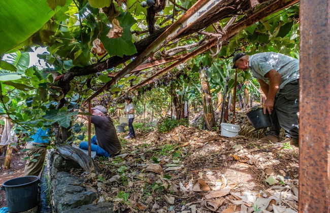 Casas da Luz - Casa da Latada by Homie - Foto 9
