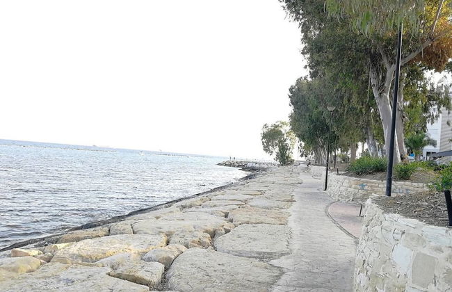 V.I.P. Galatex - Foto 40