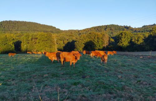 Petite maison Conjat - Foto 9