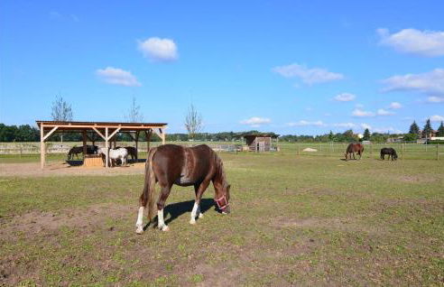 Lovely Home In Schorfheide With Wifi - Foto 30