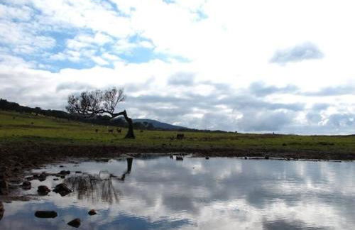 Casa do Bisbis - Foto 8