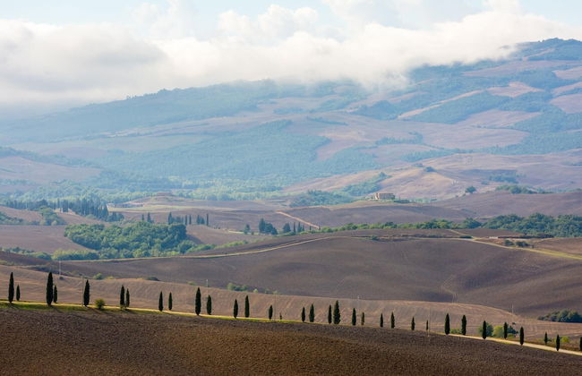 Villa Podere Belvedere Large Private Pool Sea Views Wifi - 3281 - Foto 53