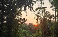 Premium Amazon Jungle Lodge - Foto 36