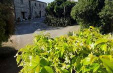 Case Cordovani - Foto 40