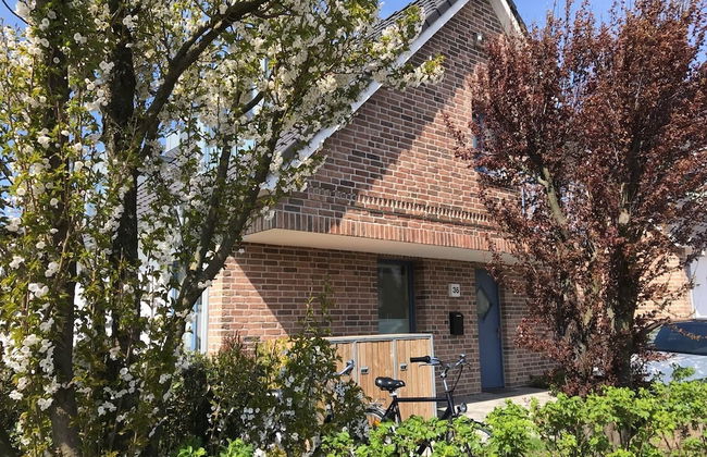 Abendsonne - Foto 13