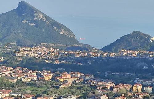 Lanovella - Photo 12