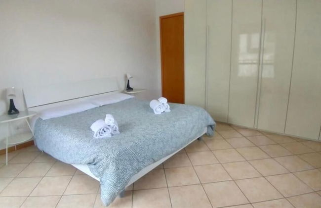 CLEO CAMELIA - Foto 1