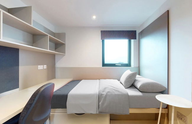 For Students Only Canvas Manchester - Foto 5