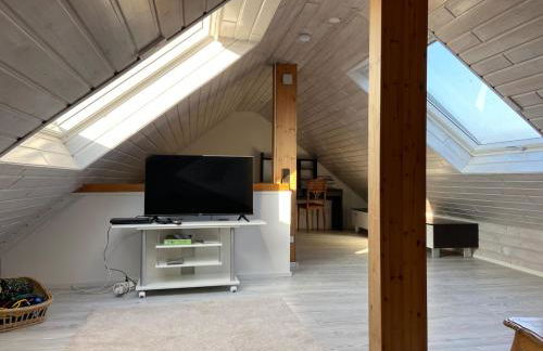 Familien Apartment, nahe Europapark mit Trampolin - Foto 25