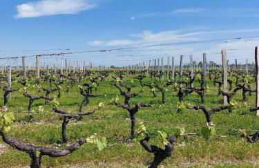 Gîte des Graves de Lilou - Foto 57