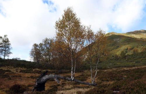 VUT Corea324 - Photo 20