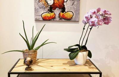 Le quai de St Pierre - Foto 14