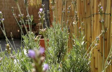 Amalfi Small Wonder Tiny Town House - Foto 14