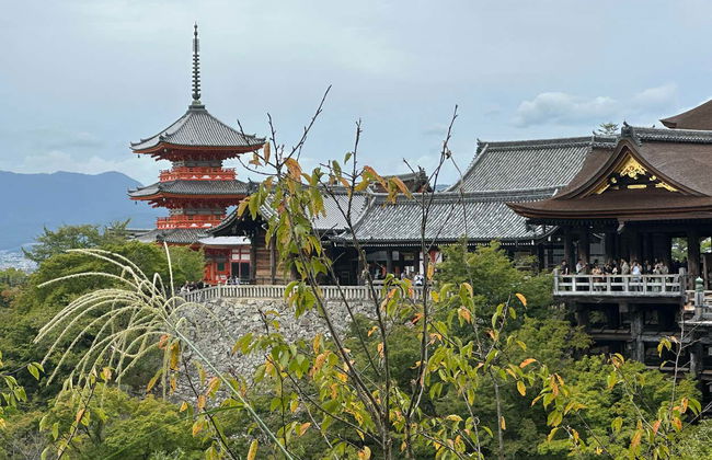 Tour completo por Kyoto com ingressos - Foto 3