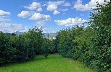 Neu sanierte Wohnung für 2-4 P - Foto 16