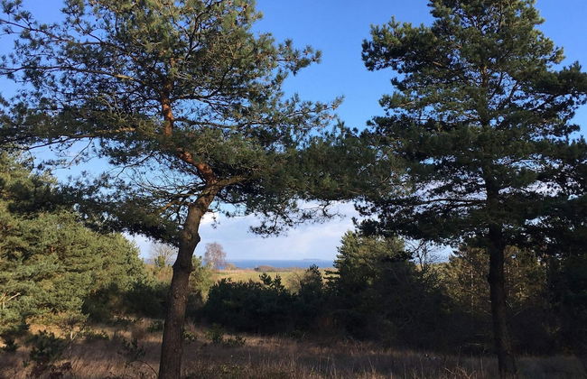 16 Person Holiday Home in Vejby - Foto 5