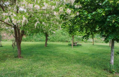 Mas Puigdevall - Foto 14