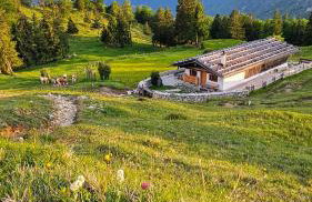 Naturrefugium mit Sauna und Bergbach - Foto 23